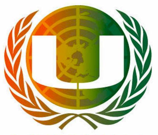 UN Organization